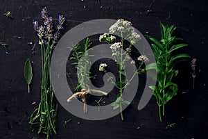 French herbs on the black desk