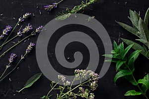 French herbs on the black desk