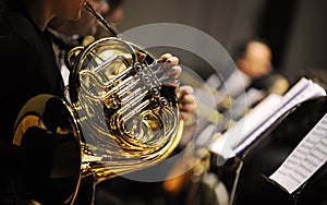 French horn photo