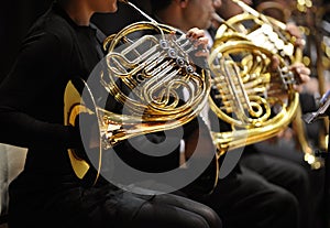 French horn photo