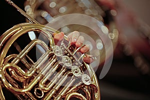 French Horn