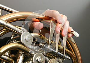 French horn