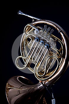 French Horn On black