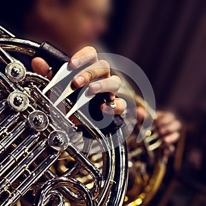 French horn in the hands of a musician
