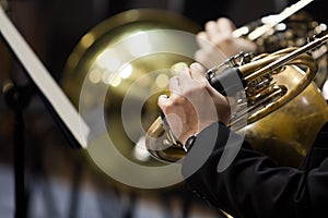 French horn in the hands of a musician