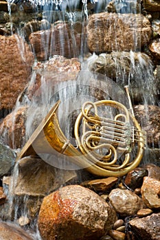 French Horn Instrument