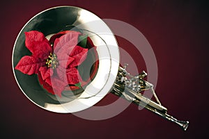 French Horn and Poinsettia Isolated