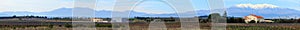 French landscape with vineyard and snowy mountains south of Perpignan