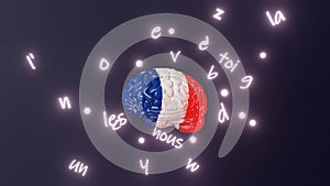 French Learning Foreign language fluency improvement Human brain glowing letters articles words 3d render Online course