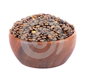 French lentils in wooden bowl, isolated on white background. Dry puy lentil grains pile.