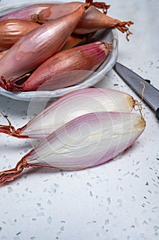French long pink shallots grappe onion from Brittany, France