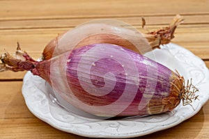 French long pink shallots grappe onion from Brittany, France close up