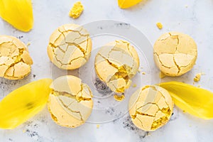 French macaroon cake. Macaroons on white background