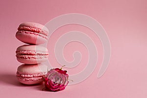 French macaroons pastries on pastel pink background with rose flower close-up. Festive holiday background. Selective focus, copy