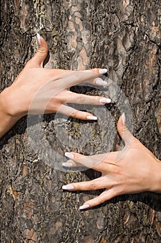 French manicure on a background of a bark-3