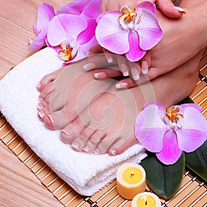 French Manicure on Beautiful Female Feet and Hands