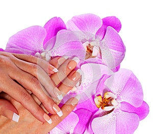 French Manicure. Beautiful Female Hands with pink flowers