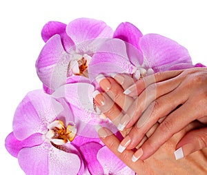 Francese. bellissimo una donna mani rosa orchidea fiori 