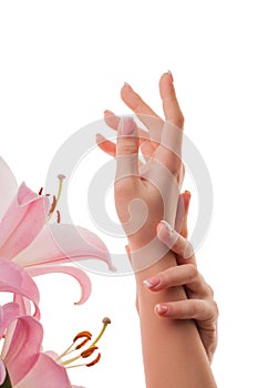 French manicure. Female well-groomed hands and lily flowers isolated on white background