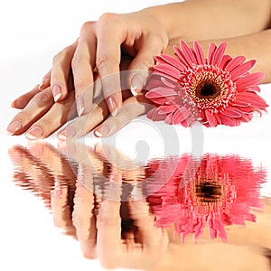 French manicure with flower in reflection