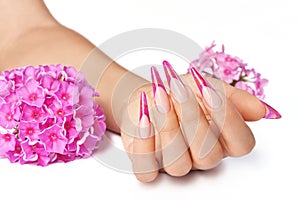 French manicure with pink flowers