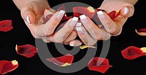 French manicure and rose petals