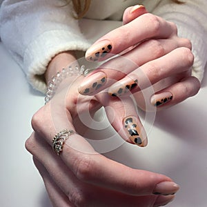 French manicure on women& x27;s thick handles with leopard design