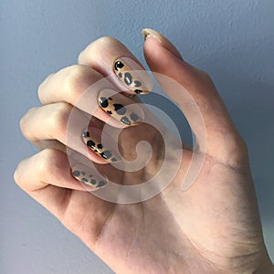 French manicure on women& x27;s thick handles with leopard design