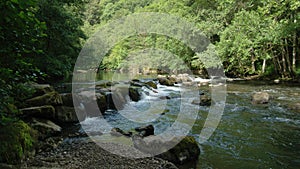 A river in the middle of a french forest