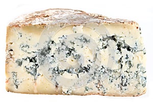 French musty cheese photo