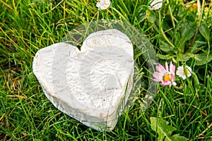 French Neufchatel cheese on grass