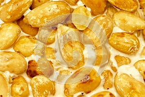 French nougat with almonds