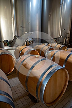 French oak wooden barrels for aging red wine in cellar, Saint-Emilion wine making region picking, sorting with hands and crushing