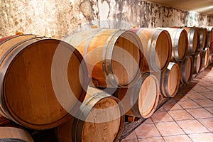 French oak wooden barrels for aging red wine in underground cellar, Saint-Emilion wine making region picking, cru class Merlot or