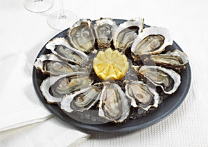 French Oyster Called Marennes d`Oleron, ostrea edulis, Seafoods with Lemon on Plate
