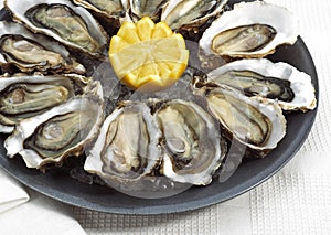 French Oyster Called Marennes d`Oleron, ostrea edulis, Seafoods with Lemon on Plate