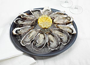 FRENCH OYSTER MARENNES D`OLERON ostrea edulis WITH YELLOW LEMON ON PLATE