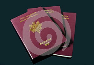 French passports