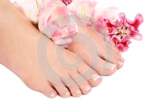 French pedicure photo