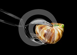 French pincers for escargot photo
