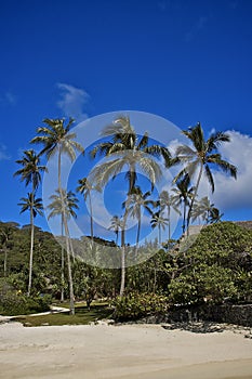 FRENCH POLYNESIA 001