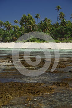 French Polynesia Beach.