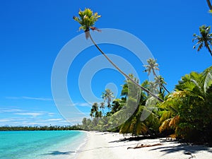 French Polynesia - Fakarava: Lonely Beach photo