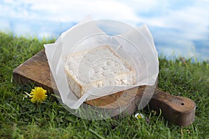 French Pont-l'evÃÂ¨que cheese on a wooden board photo