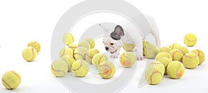 French puppy bulldog with tennisballs,