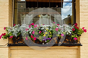 French Quarter Flowers photo