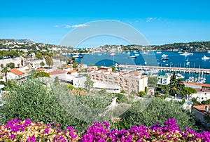 French reviera luxury resort Villefranche-sur-Mer azalea flowers