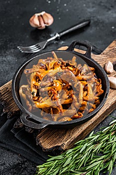French roasted chanterelle mushrooms with onions and thyme in a pan. Black background. Top view