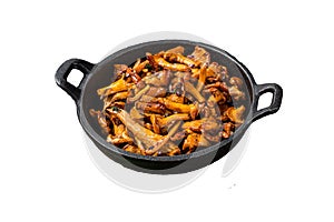 French roasted chanterelle mushrooms with onions and thyme in a pan. Isolated on white background, top view.