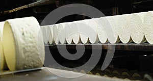 French roquefort cheese